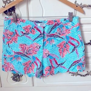 Crown & Ivy Scalloped Shorts
